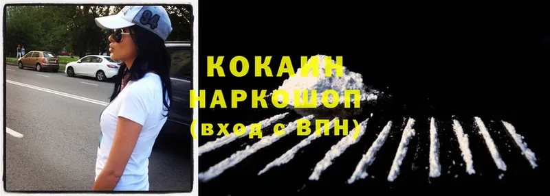 Cocaine Fish Scale  даркнет наркотические препараты  Горячий Ключ  цены наркотик 